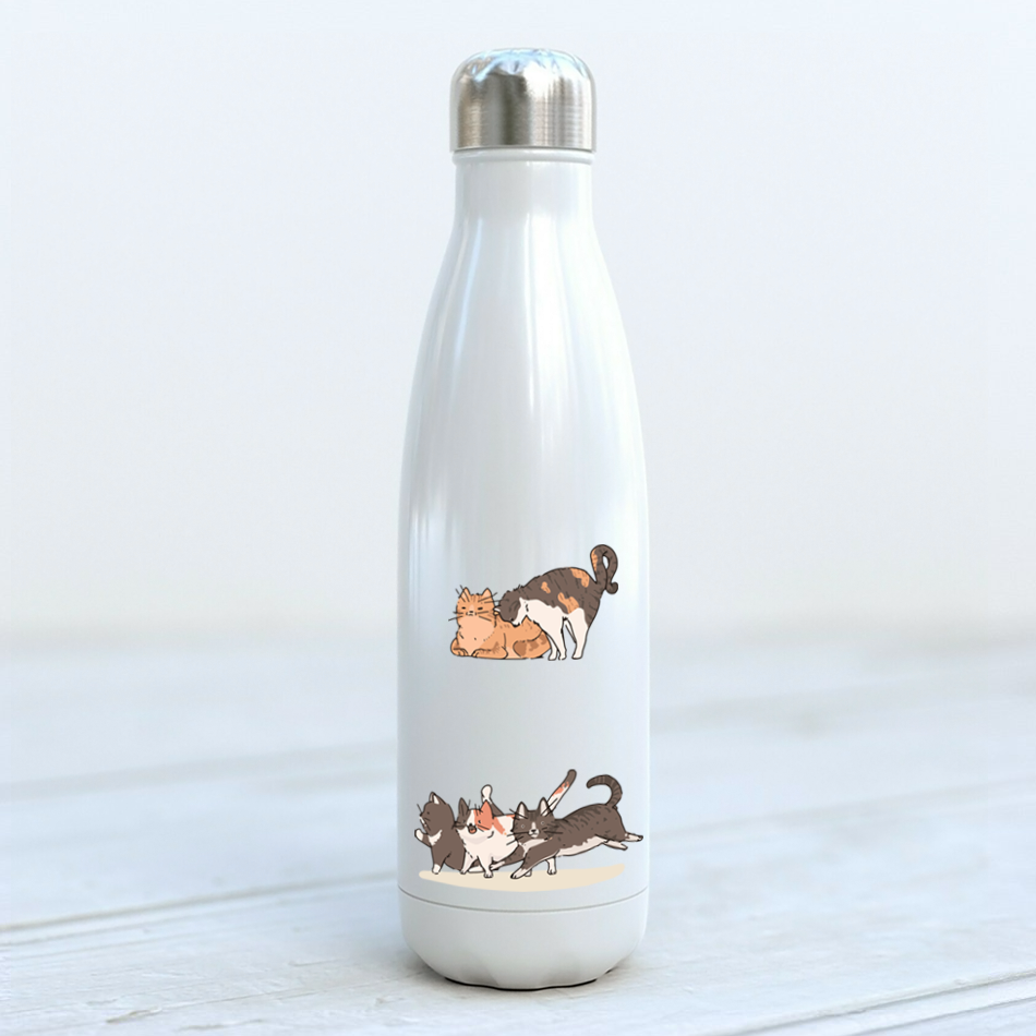 Termosflaska | Katt | Namn